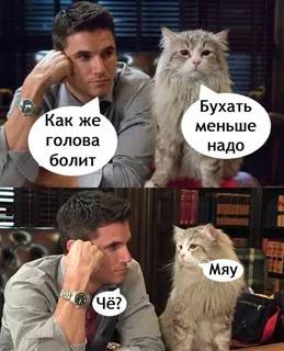 Картинка загружается...