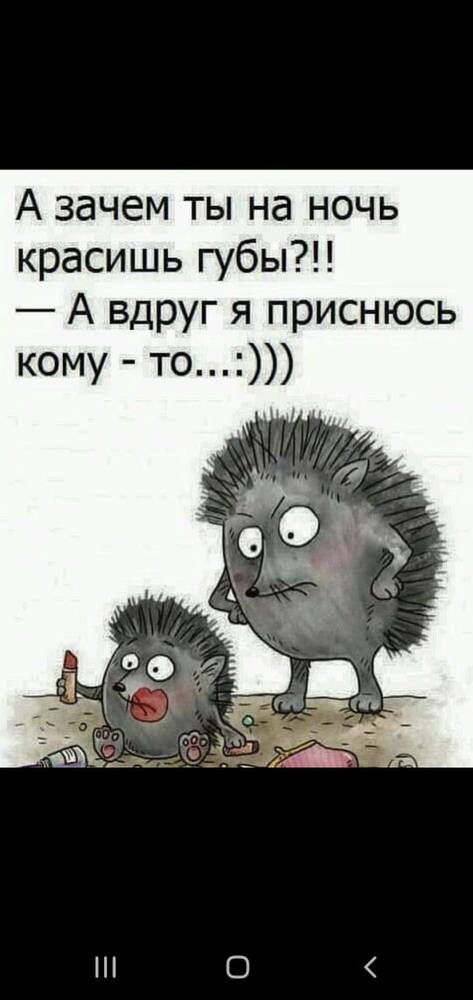 Картинка загружается...