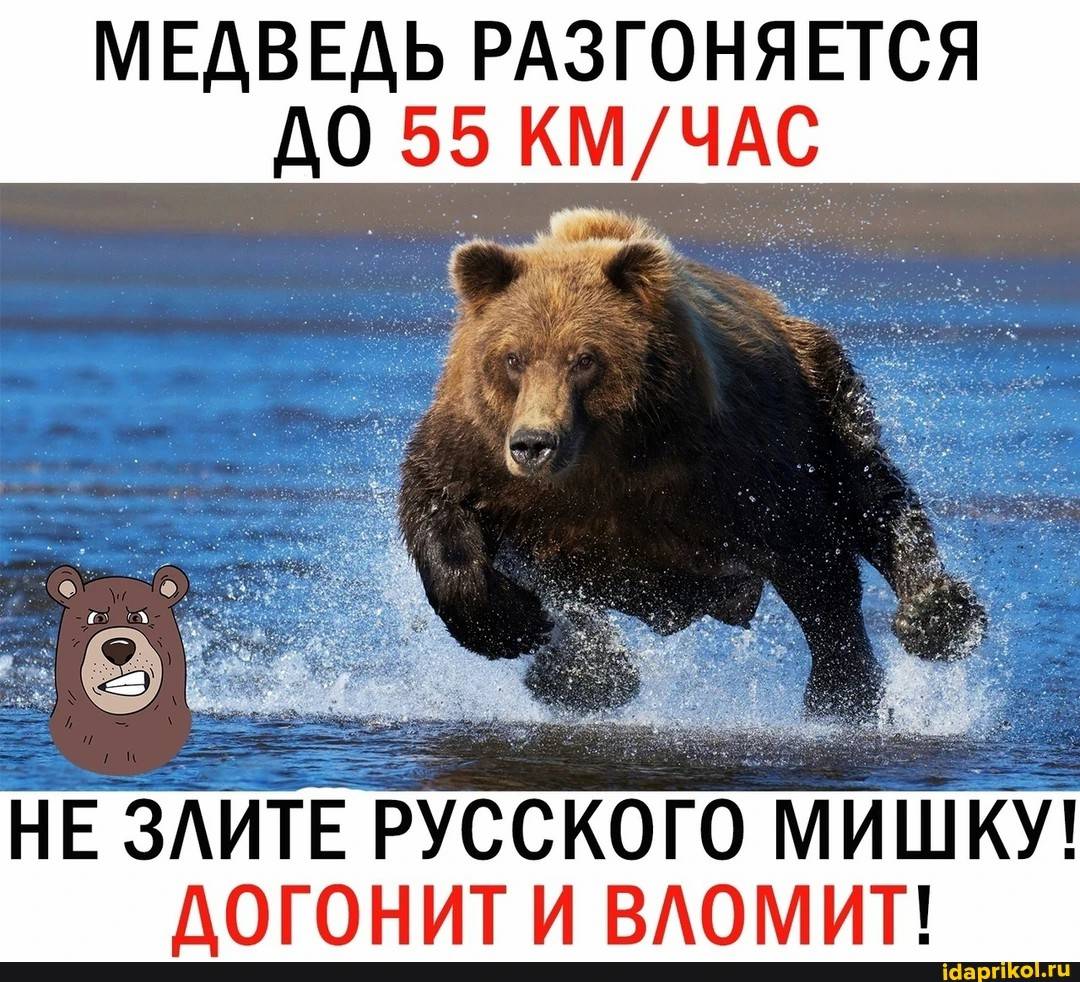 Знаешь медведь