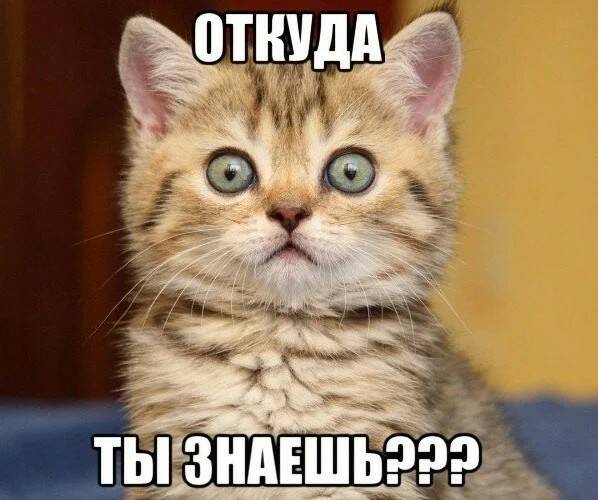Картинка загружается...