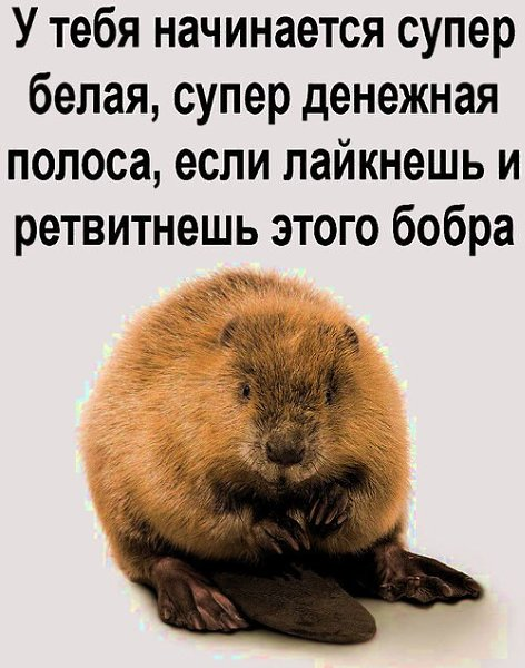 Картинка загружается...