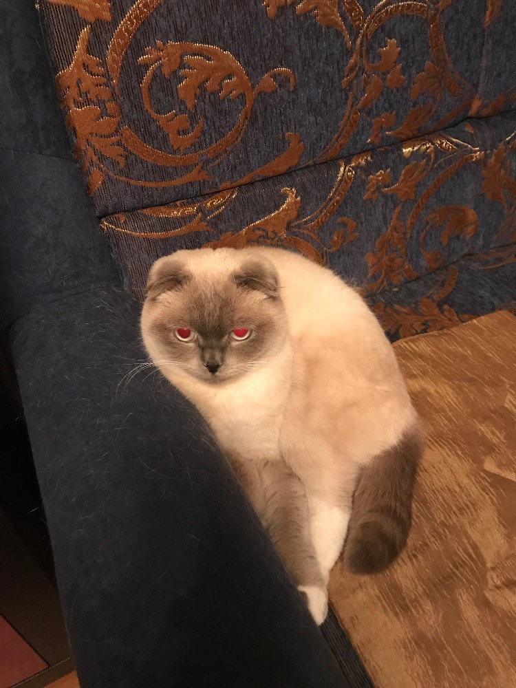 Картинка загружается...