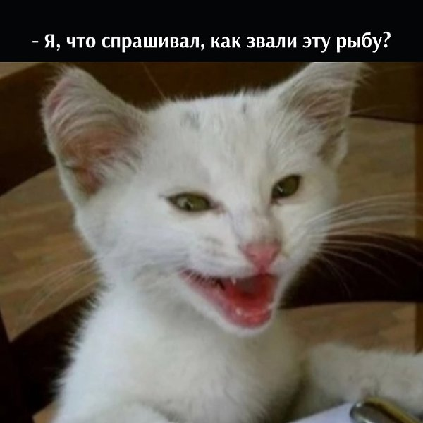 Картинка загружается...