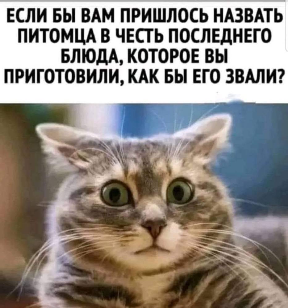 Картинка загружается...