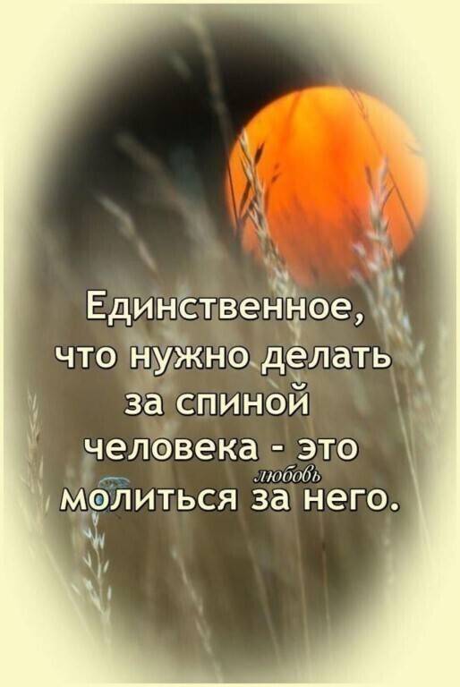 Картинка загружается...