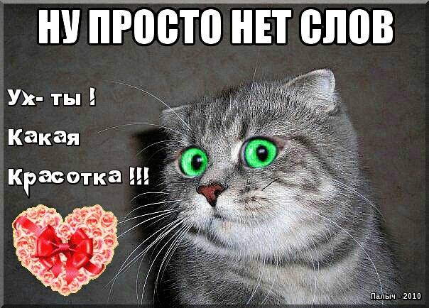 Картинка загружается...