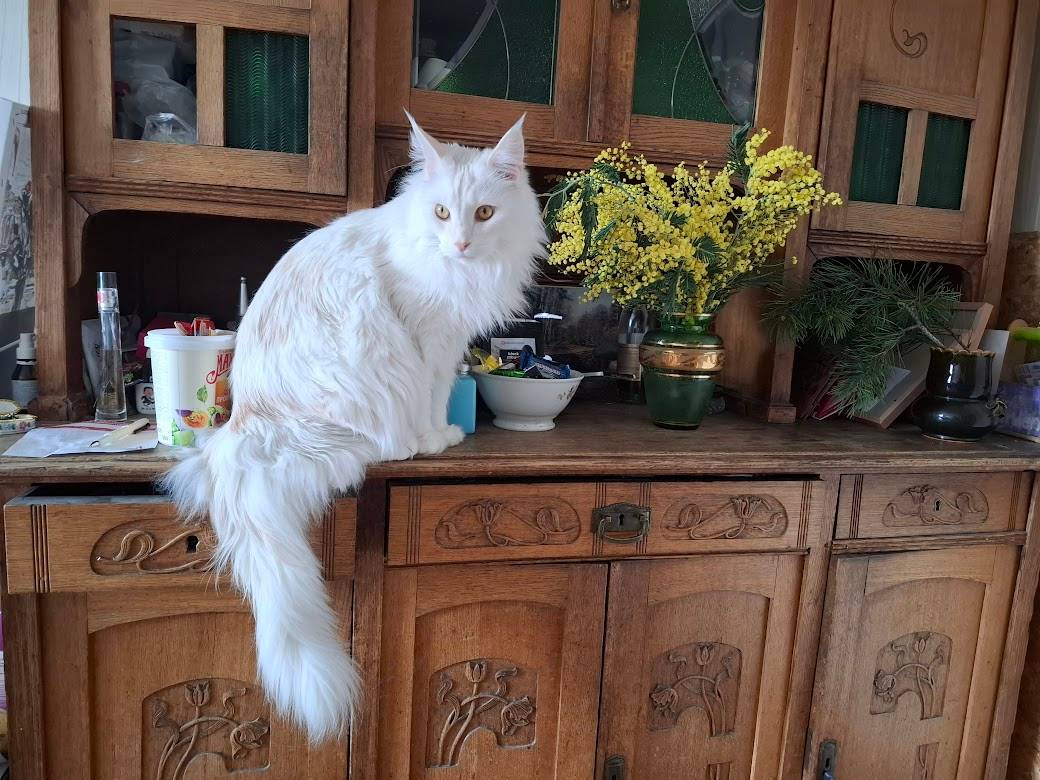 Картинка загружается...