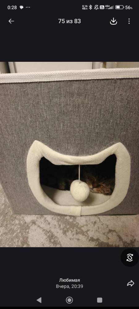 Картинка загружается...