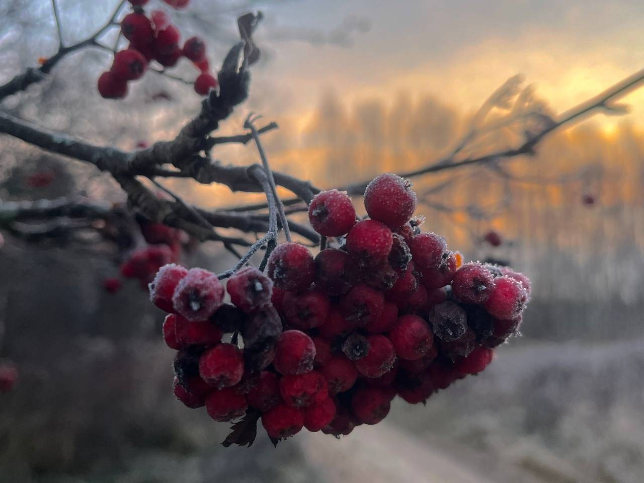 Картинка загружается...