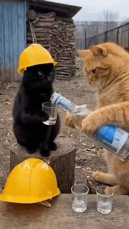 Картинка загружается...