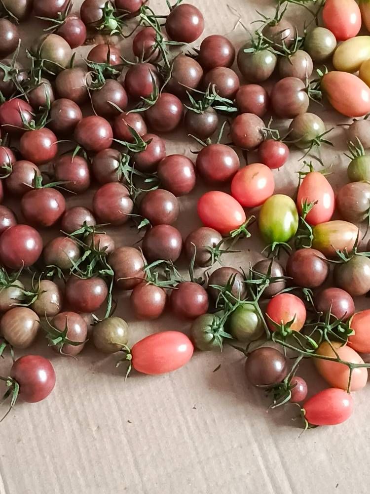 Картинка загружается...