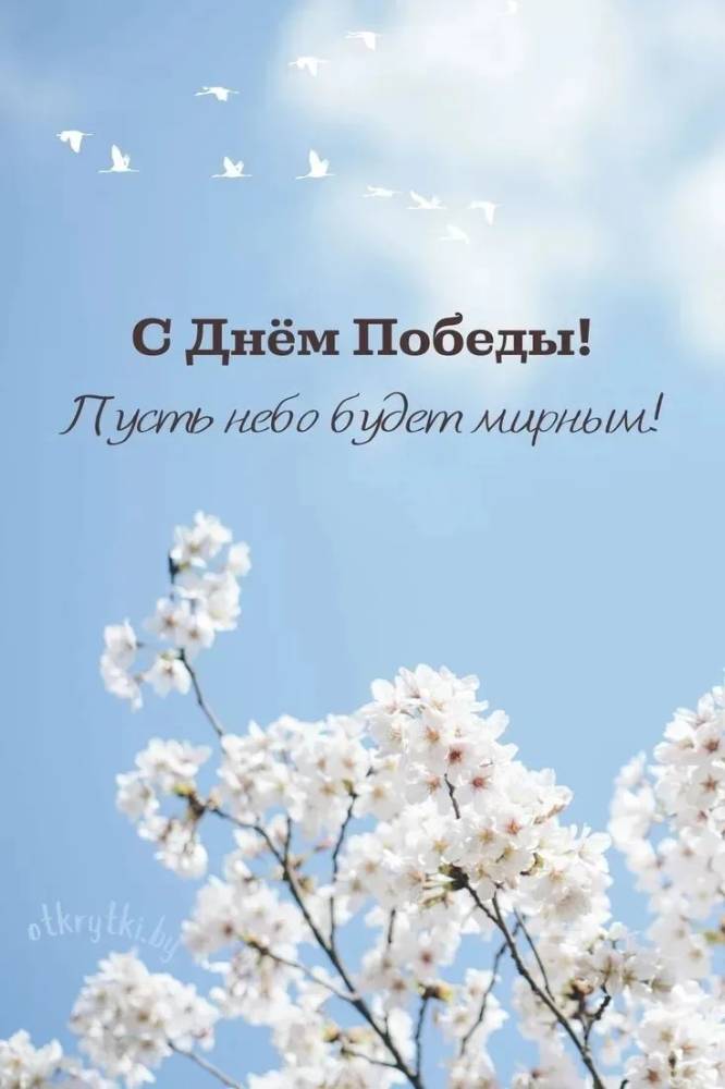 Картинка загружается...