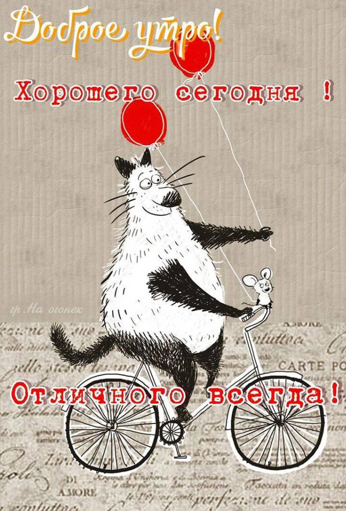 Картинка загружается...