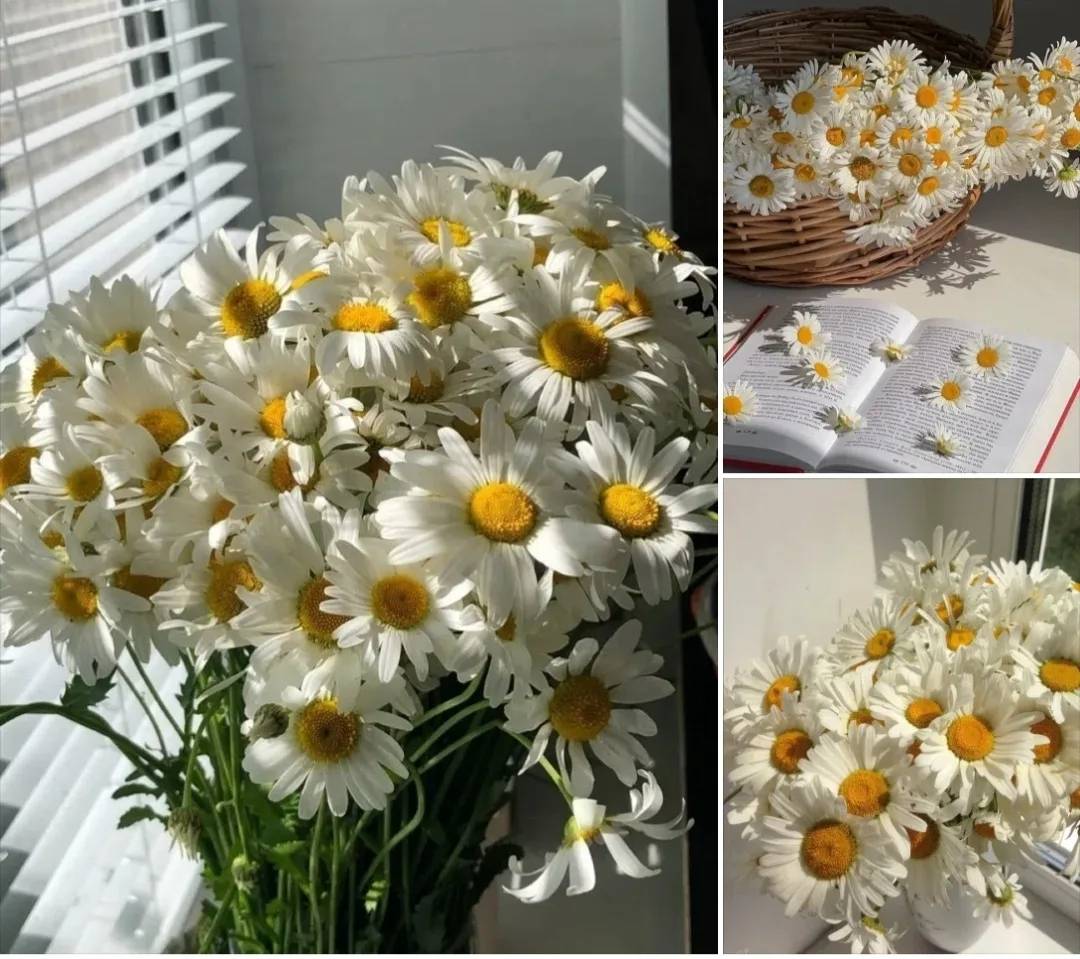 Картинка загружается...