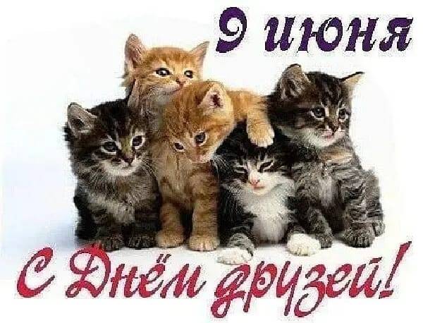 Картинка загружается...