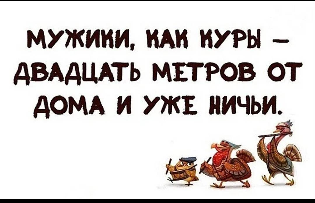 Мужики как куры 20 метров от дома и уже ничьи картинки