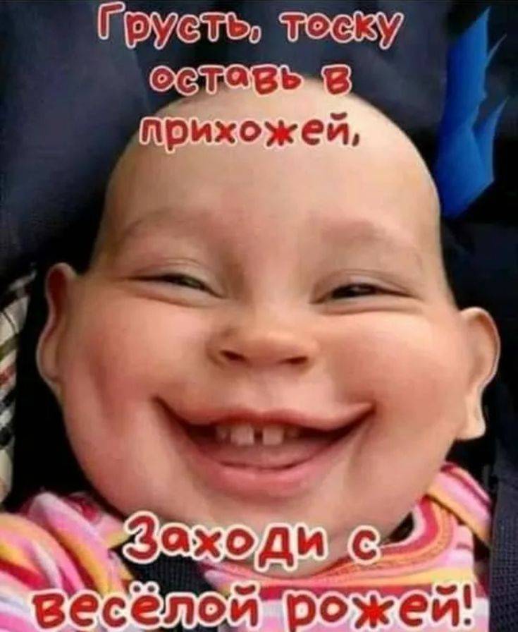 Картинка загружается...