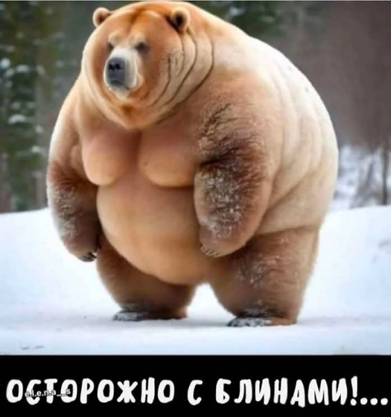 Картинка загружается...