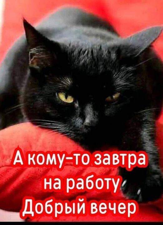 Картинка загружается...