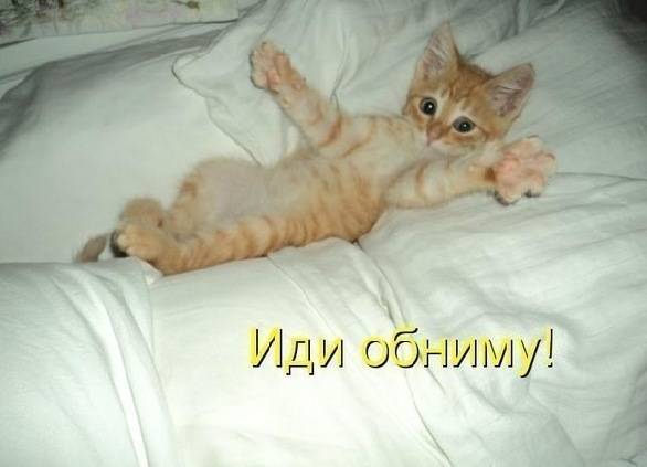 Картинка загружается...