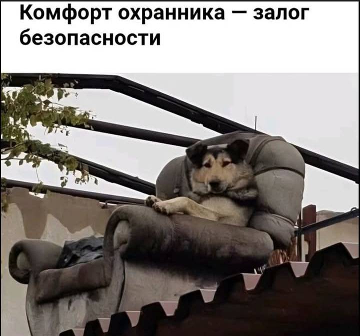 Картинка загружается...