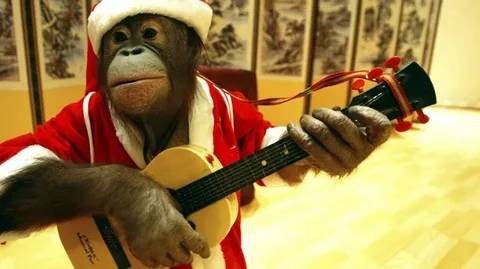 Картинка загружается...