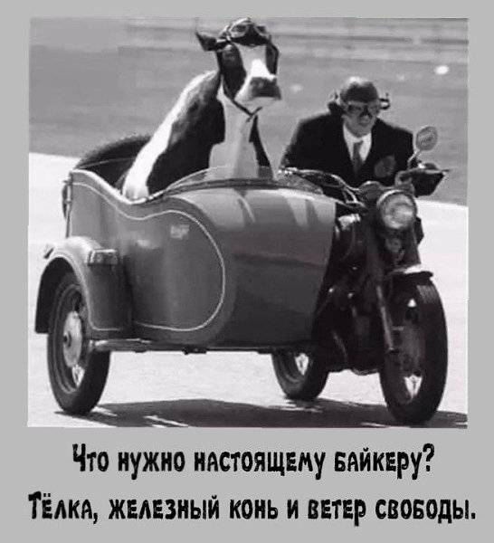 Картинка загружается...