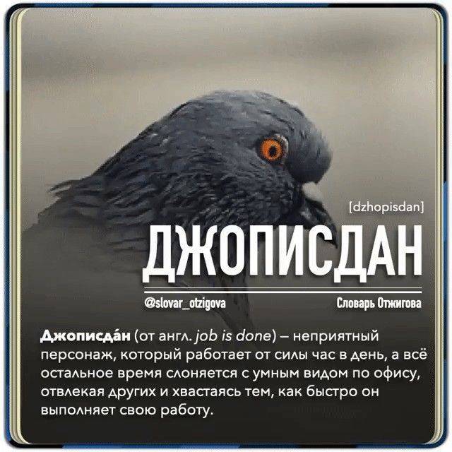 Картинка загружается...