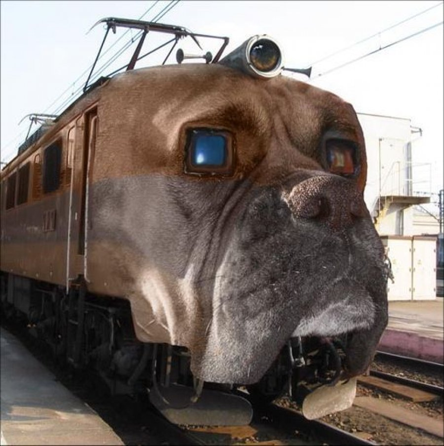 Почему электричка собака. Смешные поезда. Смешные вагоны. Электричка собака. Самые смешные поезда.