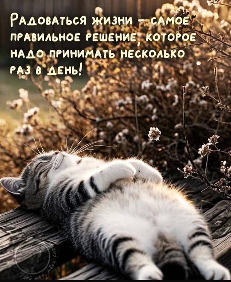 Картинка загружается...