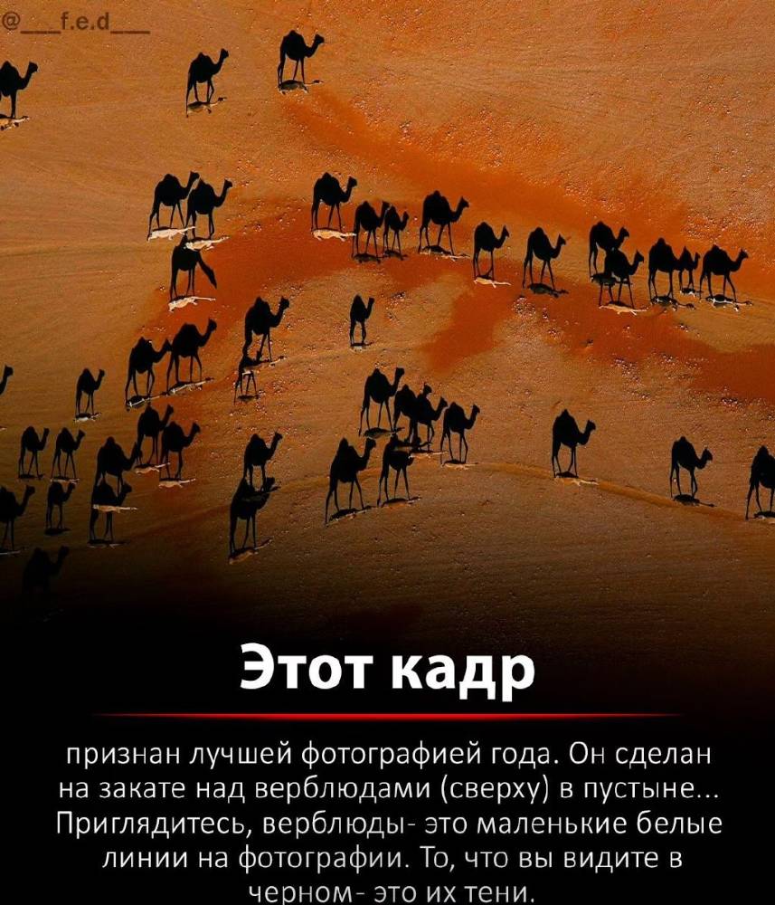 Картинка загружается...