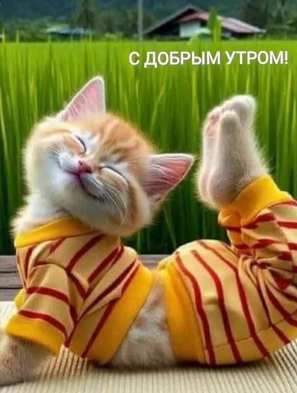 Картинка загружается...
