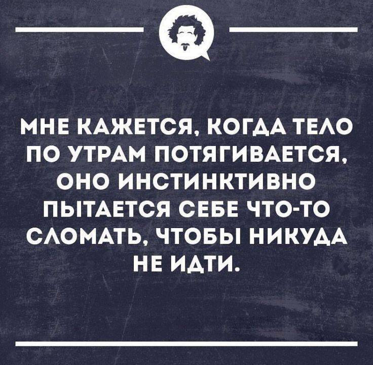 Картинка загружается...