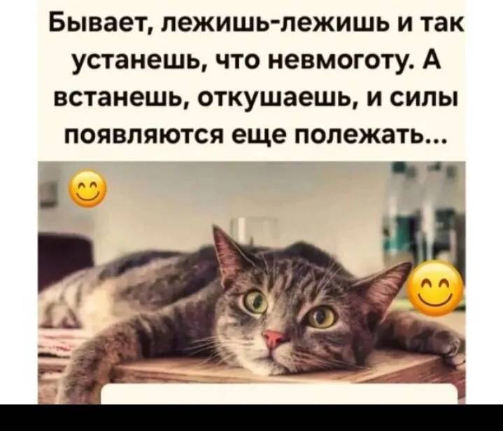 Картинка загружается...