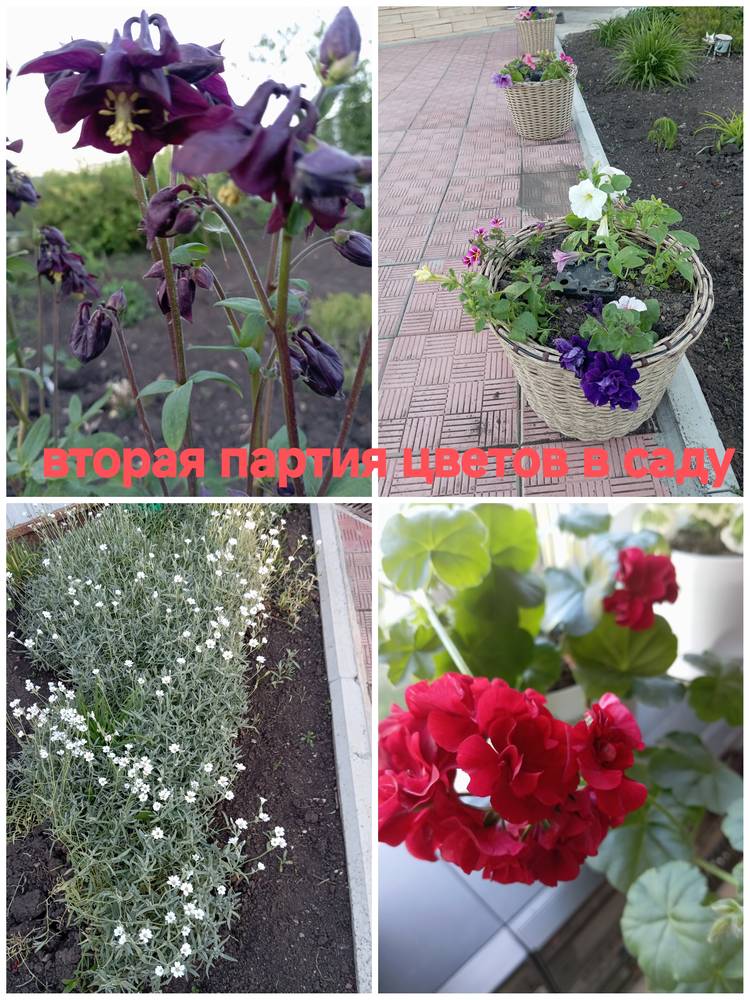 Картинка загружается...
