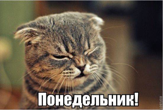 Картинка загружается...