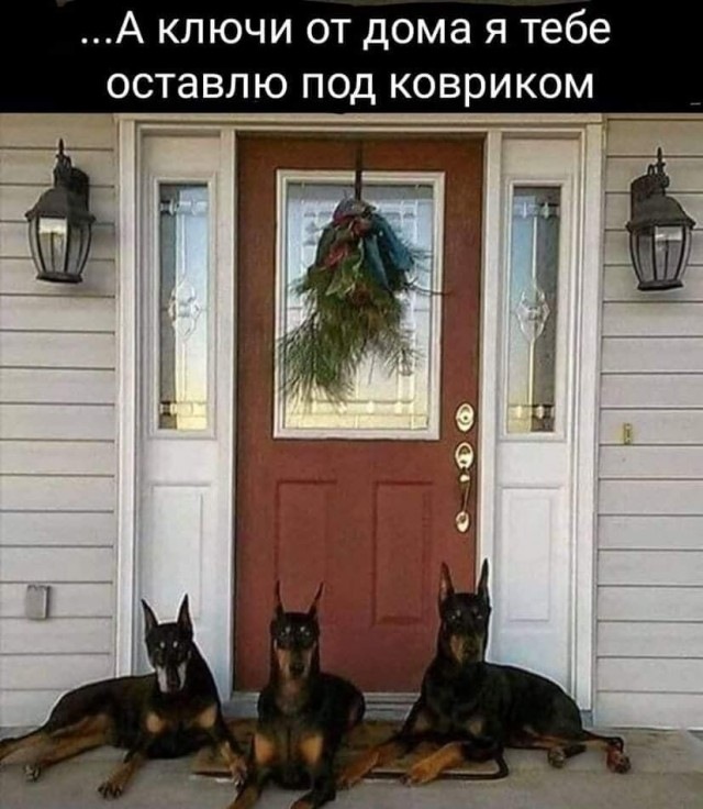 Картинка загружается...