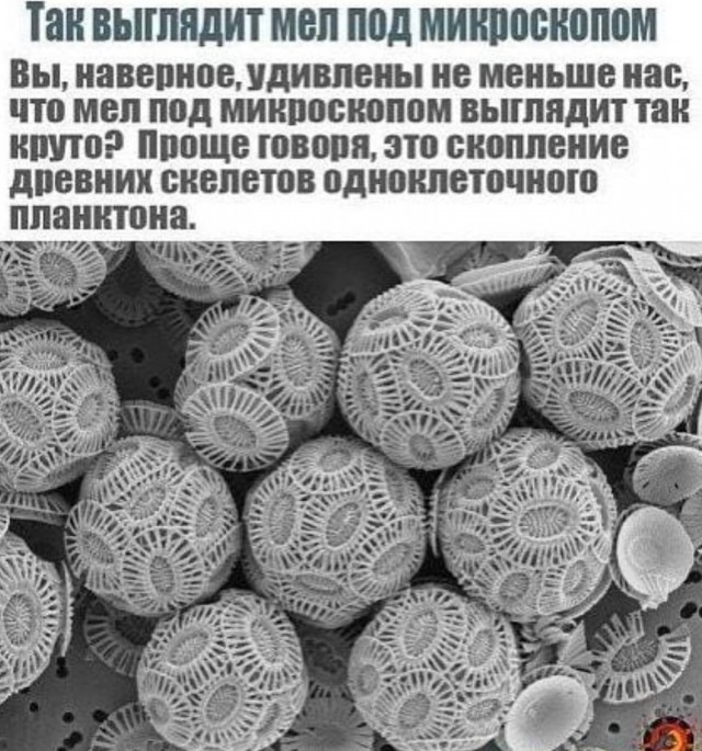 Картинка загружается...